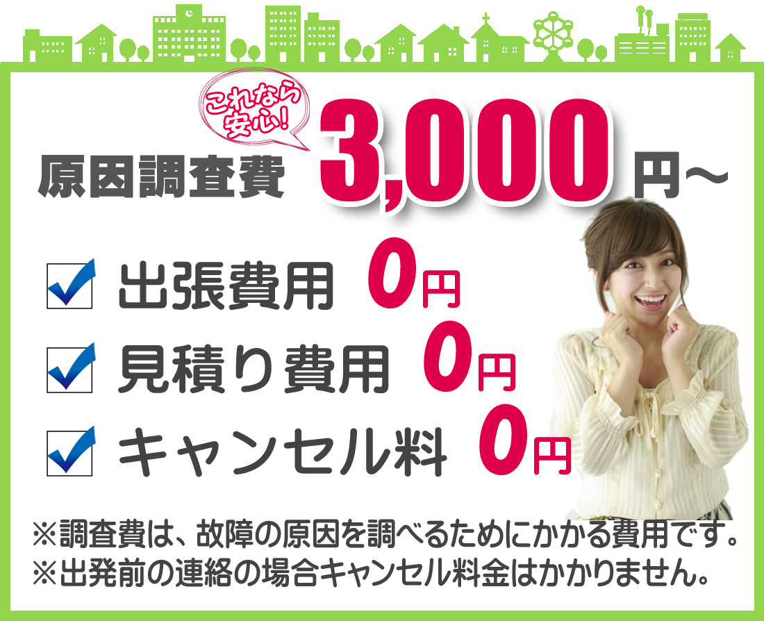 調査費3000円